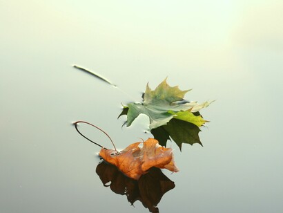 Curas de silencio como terapia 