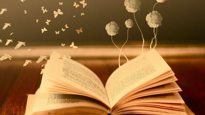 Todo lo que puede salir de un libro