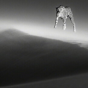 10th Annual Greenwich Holiday Stroll Weekend 2018. Courtesy of Isabella Garrucho Fine Art