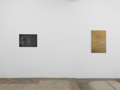 Monika Stricker, Les rêveries du promeneur solitaire, exhibition view. Courtesy of Dépendance