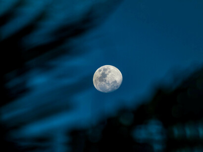 A un certo punto il vampiro si è come smaterializzato nella notte