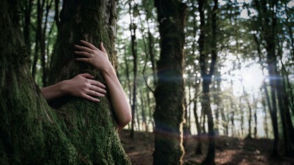 Uma pessoa abraça o tronco de uma árvore coberta de musgo, em um gesto de conexão, intimidade e reverência à natureza. A imagem traduz a essência do artigo: Gaia como a consciência viva da Terra que sustenta, conecta e transforma toda a vida, lembrando que cuidar do planeta é também reconhecer nossa própria origem e pertencimento. Não somos espectadores do planeta, mas parte inseparável de seu corpo e de seus ciclos. O abraço ao tronco de uma árvore centenária traduz um encontro silencioso entre o ser humano e a natureza