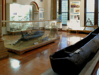 The history of fishing in Hungary. Courtesy of Museum and Library of Hungarian Agriculture