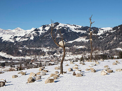 Giuseppe Penone. Courtesy of  Galerie Gagosian