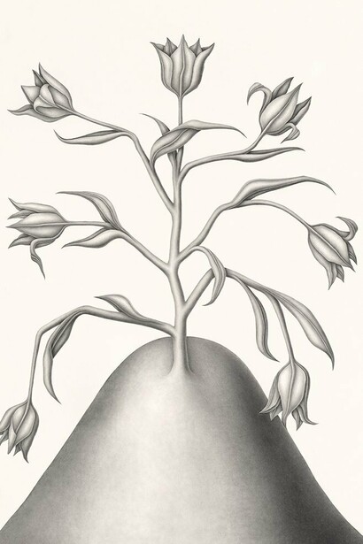 Devra Fox, Distend (detail), 2023. Courtesy of the artist and Hashimoto Contemporary