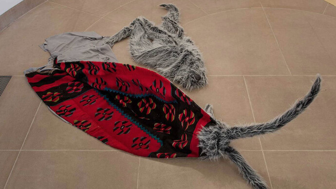 Petrit Halilaj. Courtesy of Hammer Museum