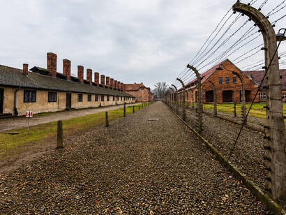 Located in occupied Poland near the town of Oświęcim, Auschwitz was a complex of more than 40 concentration and extermination camps run by Nazi Germany during World War II