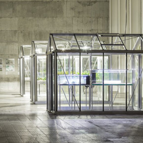 Extinct in the Wild, Exhibition view. Courtesy of Fondazione Prada