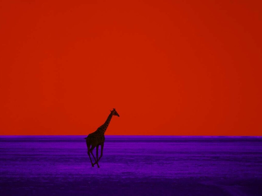 洋書 THE COLOR OF JAZZ Pete Turner Amazon.com: The Color of Jazz: 9780847857982: Quincy Jones, Ashley