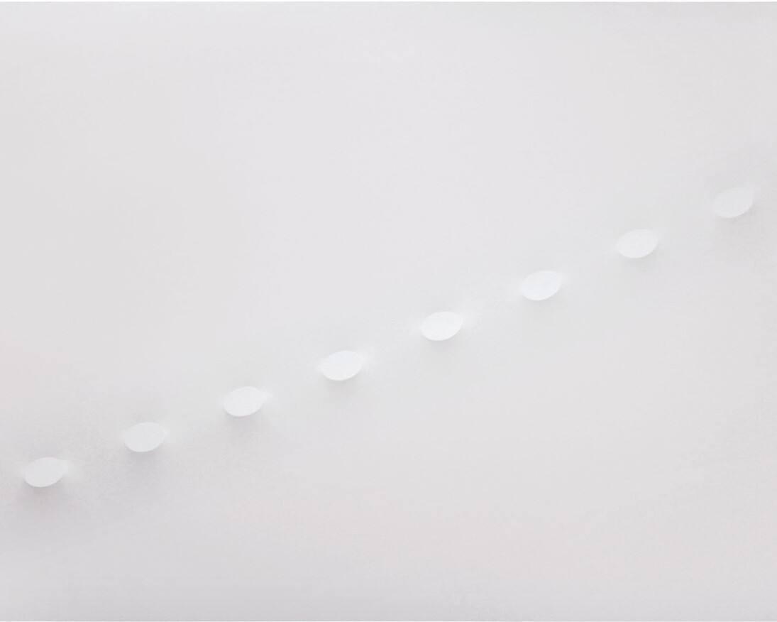 Turi Simeti, 12 ovali bianchi, 2016, 150x300 cm. Courtesy Archivio Turi Simeti