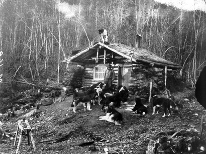 Un rifugio nella foresta