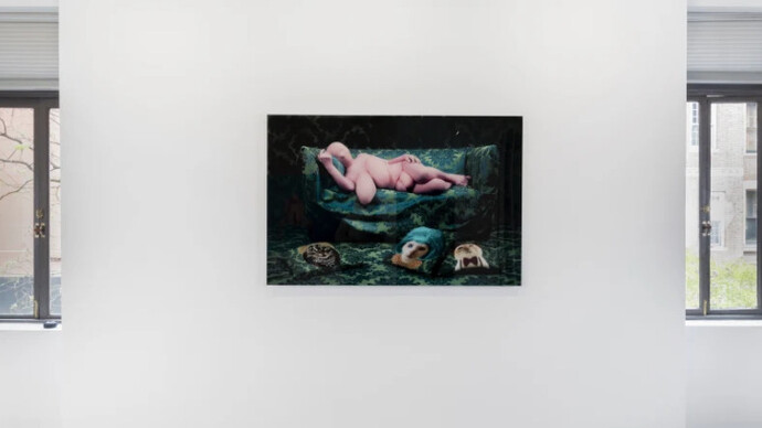 While You Laugh. Courtesy of Galeria Nara Roesler