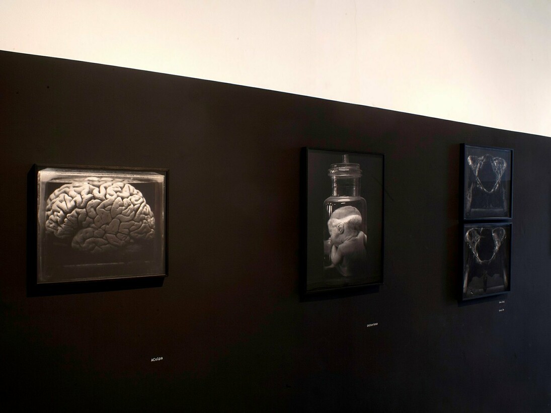 OJardim, Exhbition view. Courtesy of Galeria Mezanino