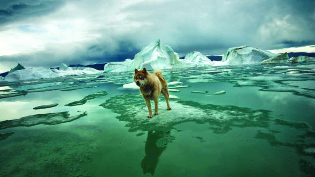 Sebastian Copeland. Courtesy of Camera Work