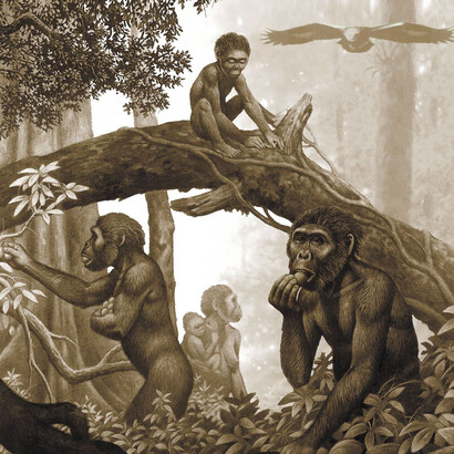 La vita ai tempi degli Australopithecus