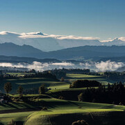 Vielfältiges emmental, kunstwerk in der ausstellung. Mit freundlicher genehmigung des Franz Gertsch Museums