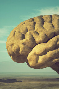 Gli apprendimenti sono situati nei due emisferi cerebrali