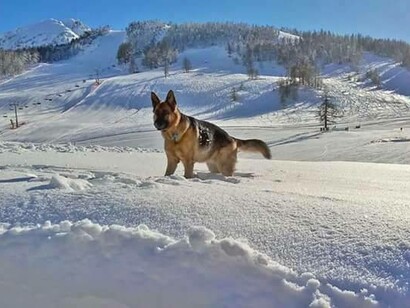 Nailù dei Templari sulla neve