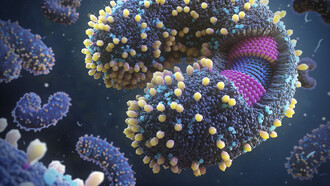 Specie di phylum Taraviricota sono state trovate in tutti gli oceani