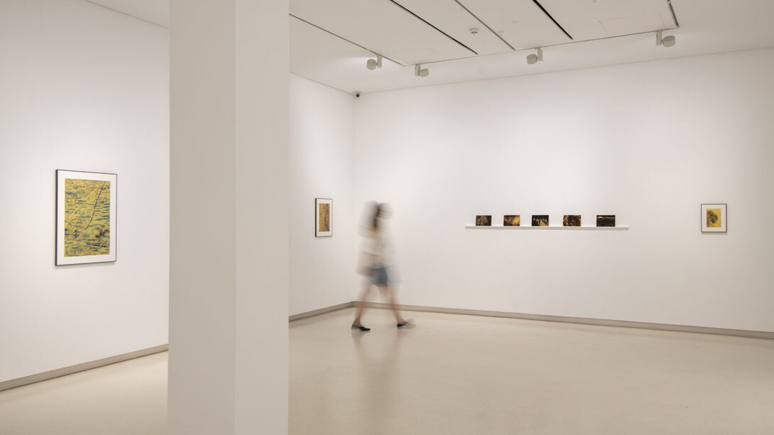 Anna Cabrera and Ángel Albarrán, Ventanas a lo insólito, exhibition view. Courtesy of Galería Elvira González
