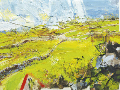 David Tress, Summer, North Yorkshire (Above Clapham)