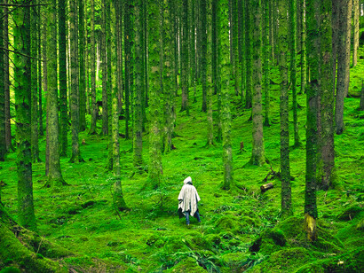 The appeal is made against a background where humanity is threatened and our planet is endangered