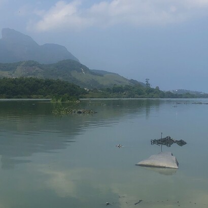 Depois de dez anos, isto é, em 2010, os manguezais do rio Suruí, continuam exalando cheiro de óleo