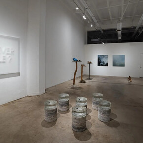 Azadeh Shladovsky and Daniel Wheeler, Valence, exhibition view. Courtesy of Track 16
