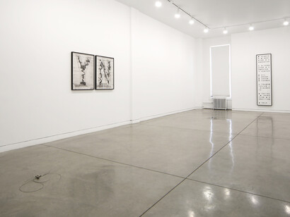 Of Echo Systems, 2016 
Installation view, Altman Siegel, San Francisco, 
Courtesy of the artists and Altman Siegel, San Francisco
