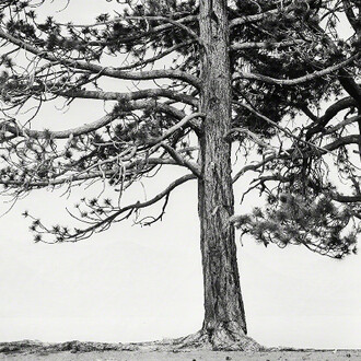 Ian Ruhter. Courtesy of Art Ventures Gallery
