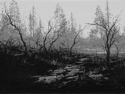 Todd Carpenter, Season of succession, 2023. Courtesy of Launch Gallery