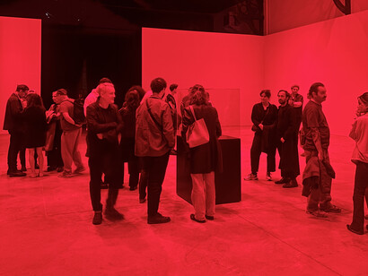 Alfredo Jaar, La fin du monde, vernissage de l’exposition. Avec l’aimable autorisation de La Patinoire Royale Bach
