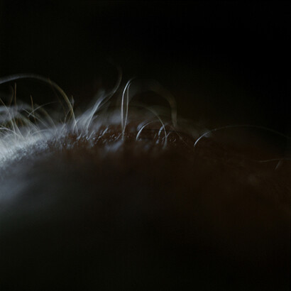 Lydia Goldblatt, Hinterland, 2010-2013, Chromogenic print, 20 x 20 inches, edition of 6