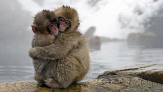 Reassuring hug