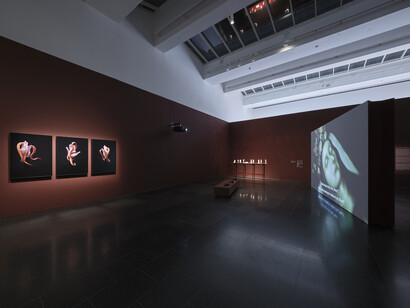 Carlos Motta, Plegarias de resistencia, vista de exhibición. Cortesía del Museu d'Art Contemporani de Barcelona