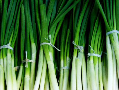 Il porro è reputato efficace contro i disturbi vescicali in genere e la calcolosi renale