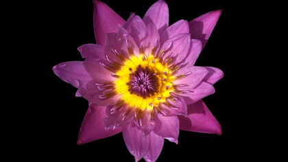 Oriana Fallaci e San Francesco, pur appartenendo a epoche e contesti diversi, rappresentano due forme opposte ma complementari di ricerca della loro verità: una attraverso il confronto diretto e la parola, l’altro tramite il distacco e l’esempio