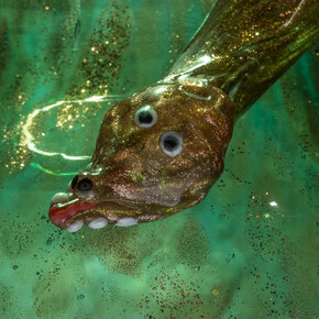 Glass Made to be Admired. Courtesy of The State Hermitage Museum