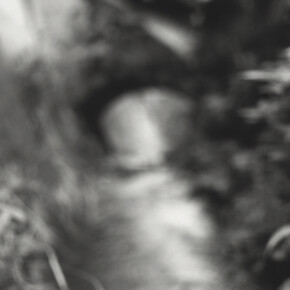 Kirk Palmer, From the series Precious Fragments, 2014, b/w selenium toned silver gelatin hand print © Kirk Palmer