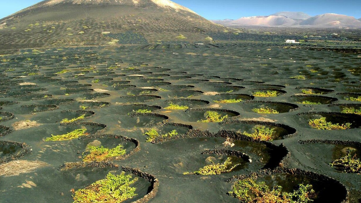 Lanzarote. Paisaje volcánico
