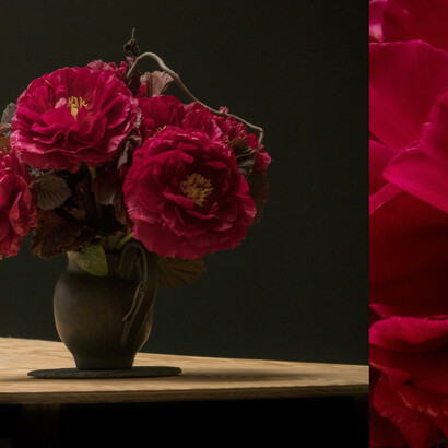 Title Composition #1.5  by Bella Meyer and Garret Linn. Courtesy of Valerie Goodman Gallery