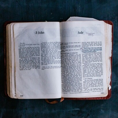 Non si limita a trasporre parole, ma interpreta significati, intenzioni e sfumature dell’autore