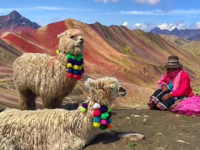 Alpacas en la montaña de siete colores, Vinicunca, Perú