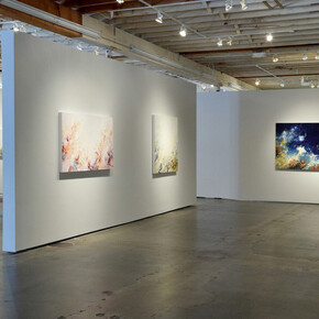 Venn Pirouettes. Courtesy of Winston Wächter Fine Art