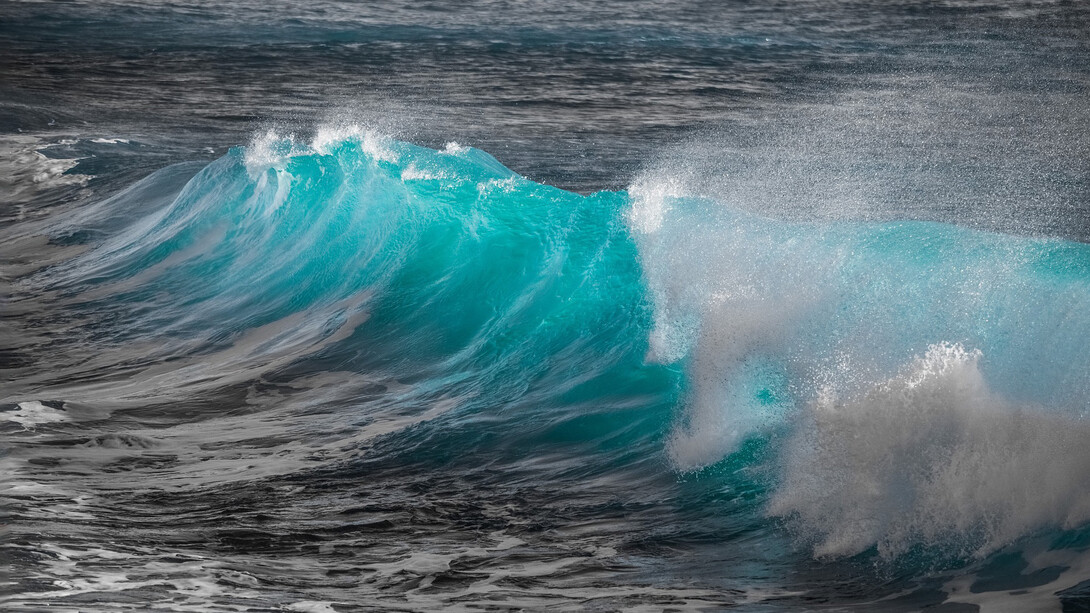 Il problema dell'acidificazione è diffuso a tutte le latitudini ma si manifesta in modi molto differenti