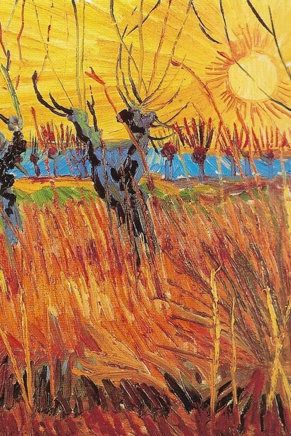 Salici al tramonto, Vincent Van Gogh, dipinto a olio su tela, 1888