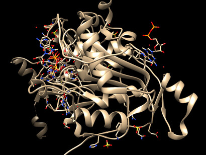 Representación visual de la estructura tridimensional de una proteína. Más allá del ADN, son las proteínas las que ejecutan las funciones vitales y traducen la información genética en acción biológica