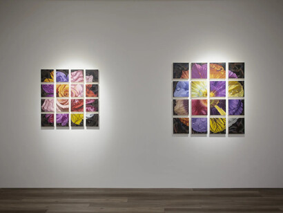 Gail Roberts, Natural selection, exhibition view. Courtesy of Quint Gallery