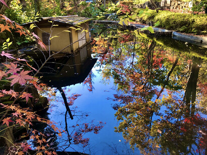Floating boat at the “Ikaruga-an” teahouse © Alma Reyes