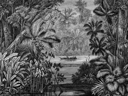 En el Delta del Orinoco. Dibujo de Karl Ferdinand Appun